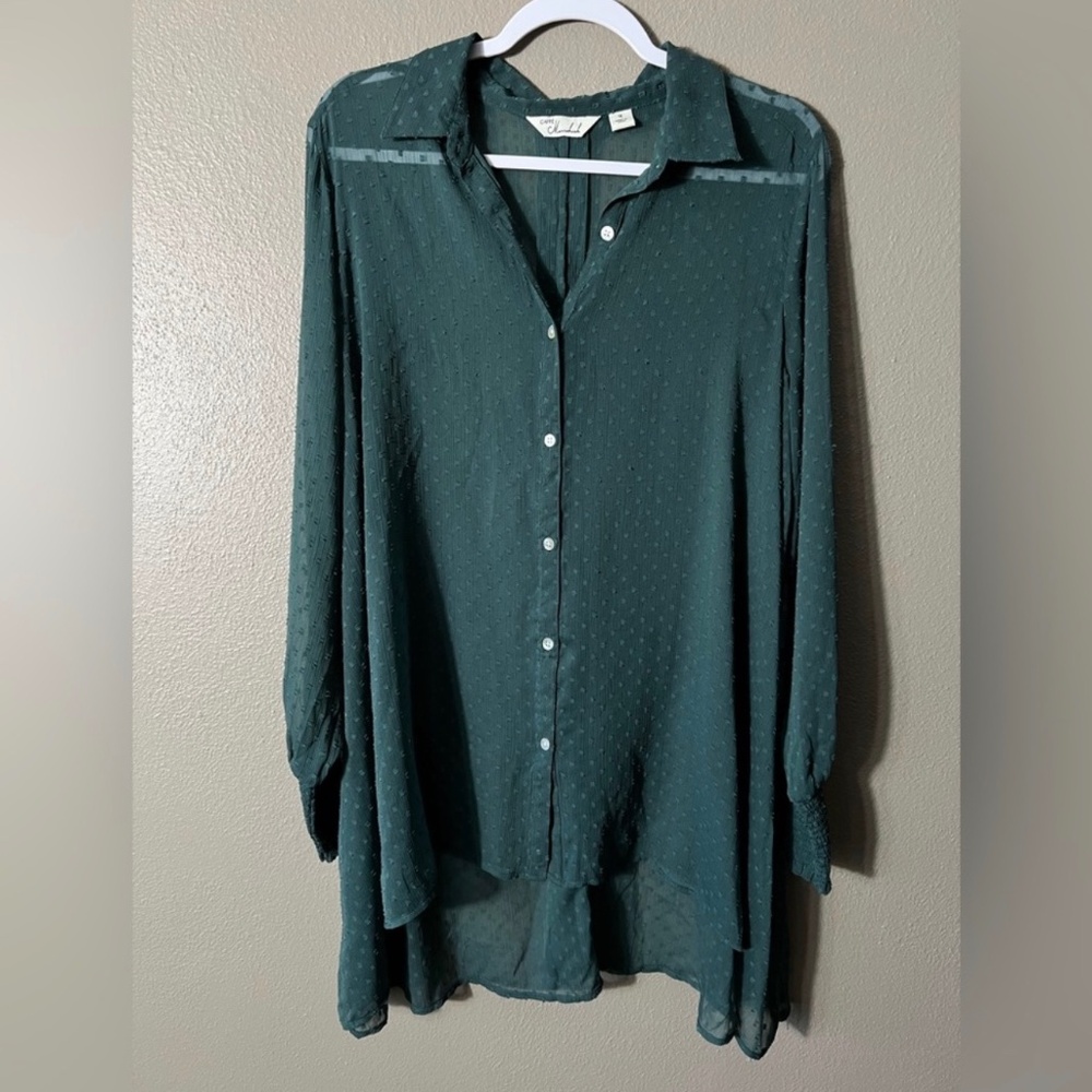 Caffe Marrakesh Sheer Button Up Swiss Dot Long Sleeve Hunter Green Blouse 1X